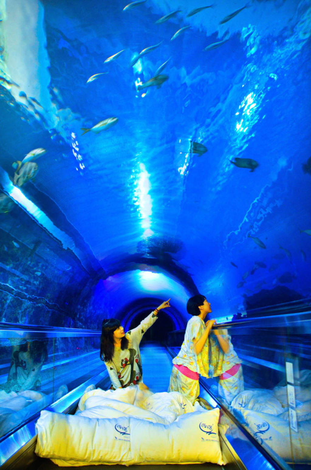 2019年 第一季 夜宿海生館 即將開放預訂