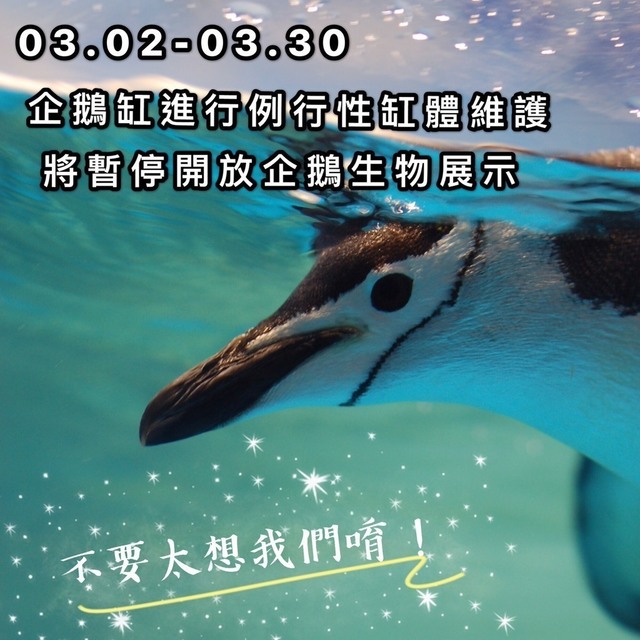 Penguin Tank Regular Maintenance